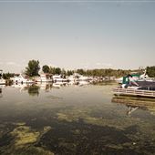 Pirate Cove Marina