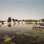 Pirate Cove Marina