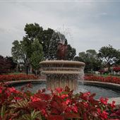Corby Rose Garden