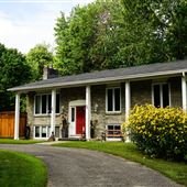 Pure Lotus Wellness Retreat