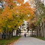 Queen's University