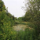 Seymour Conservation Area