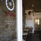 Bar Petunia