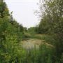 Seymour Conservation Area
