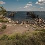 Old Dock Dive Site