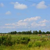 Wolfe Island - Marysville