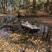 Private Forest in Brockville