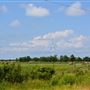 Wolfe Island - Marysville