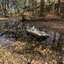 Private Forest in Brockville