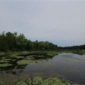 Kings Mill Conservation Area