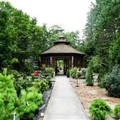 Rideau Woodland Ramble