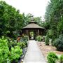 Rideau Woodland Ramble